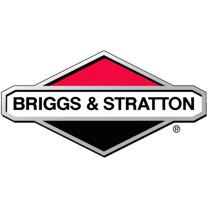 Brigg stratton logo
